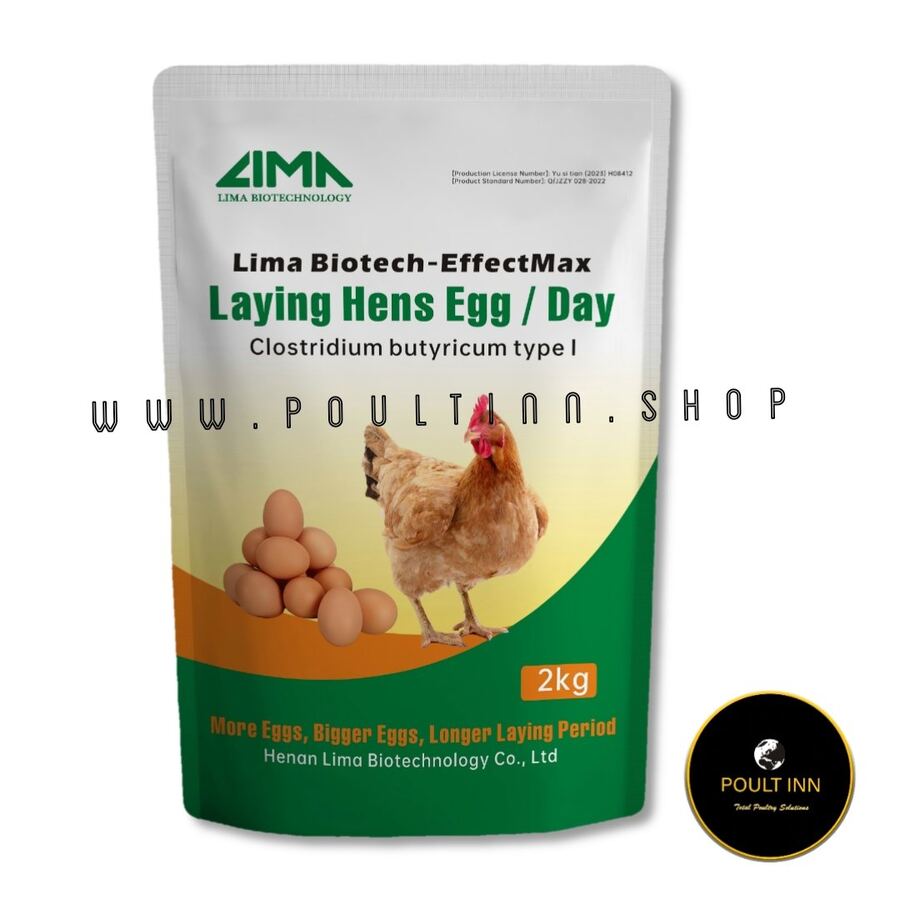 Lay-Plus Egg Booster