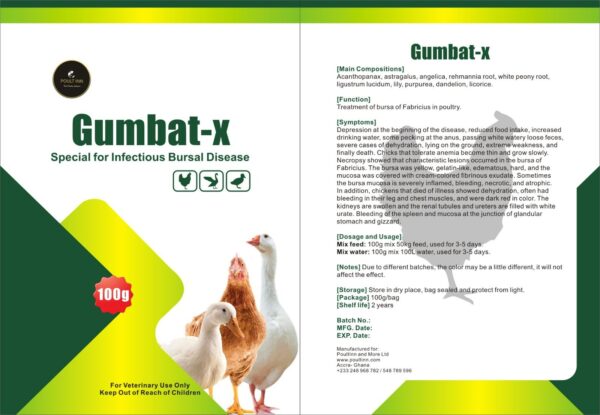 Gumbat-X - Image 2