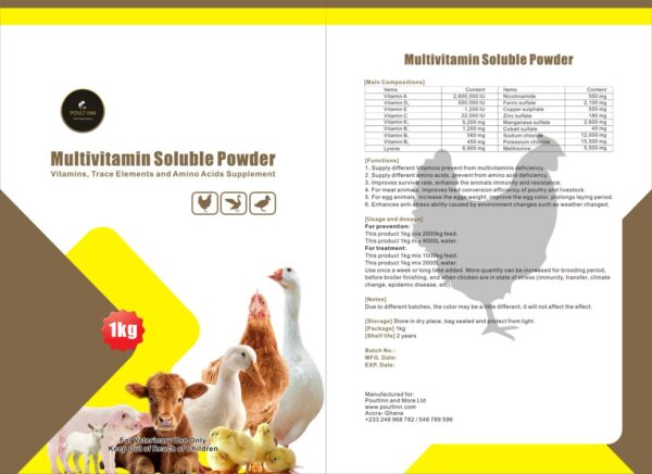 Multivitamin Soluble Powder - Image 2