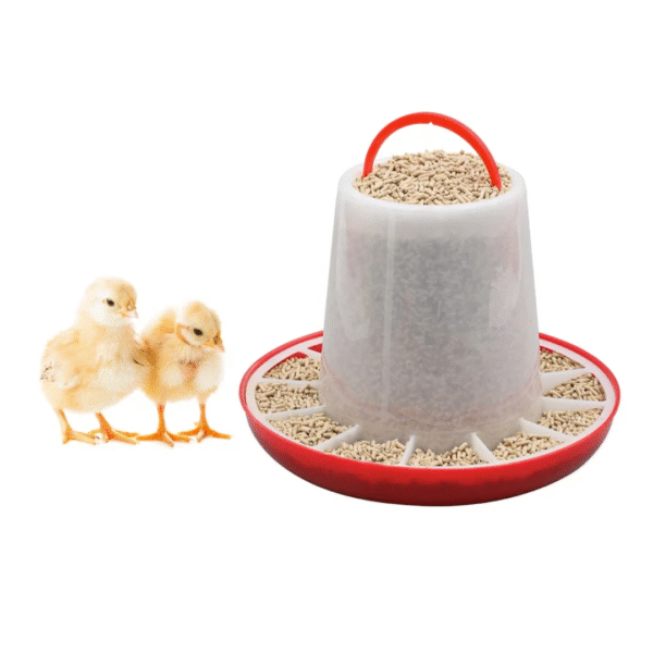 3kg Feeder - Image 2