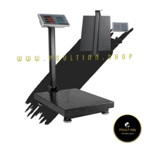 300 kg Weighing Scale