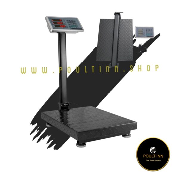 300 kg Weighing Scale
