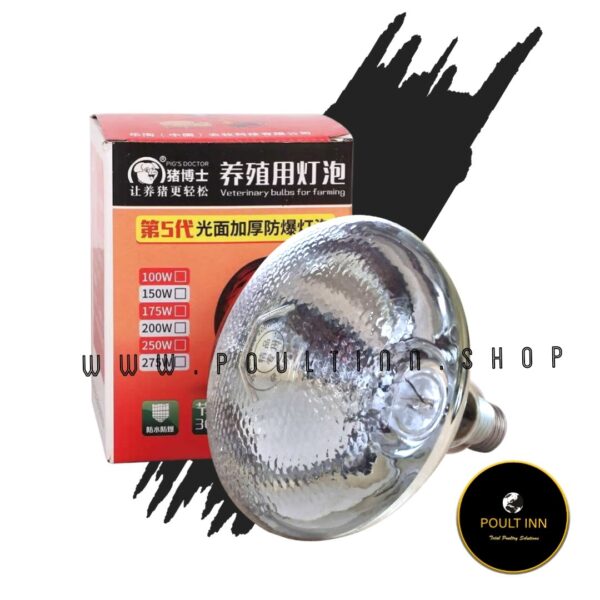 200 Watts Brooding bulb