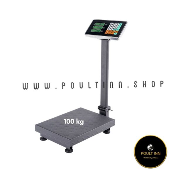 100 kg Weighing Scale