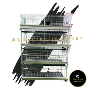 160 birds H- type battery cage