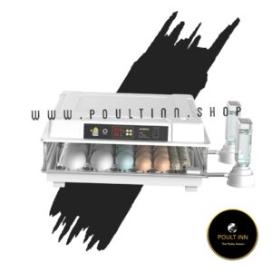 100 egg Incubator