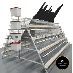 160 capacity A type Battery cage