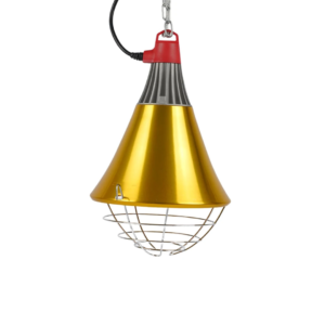 HEAT BULB HOLDER SWITCH