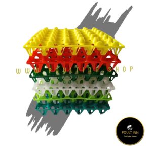 Plastic Egg Crate (30 cell)