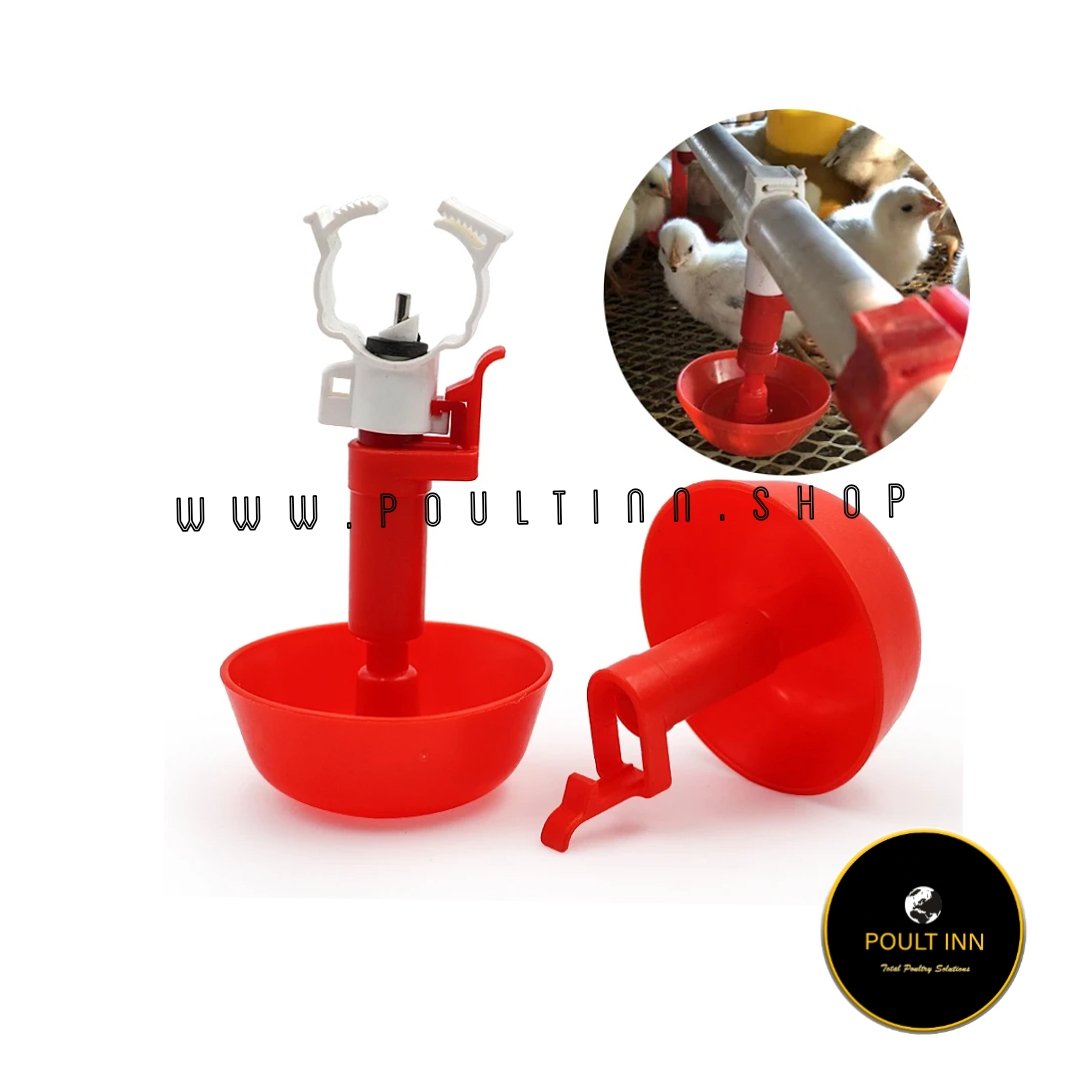 Automatic Drinking Cup
