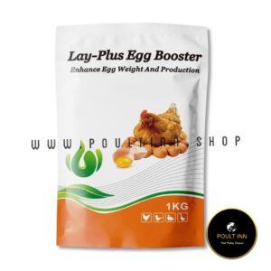 Lay-Plus Egg Booster